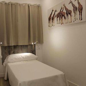 Hostal royal begoña